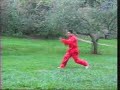 Xing Yi Quan 5 Rooster (Chicken) - Li Tai Liang Xing Yi Quan 5 Rooster (Chicken) - Li Tai Liang