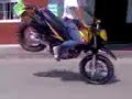 zarzal pulga guillo zarzal pulga guillo