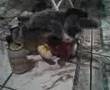 Discovery Channel - Diversidades da Natureza Discovery Channel - Diversidades da Natureza