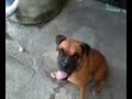 video porno de dos niñas