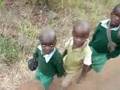 videos de Dave chasing preprimary
