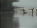 Surfing the Severn Bore: Tales from the riverbank