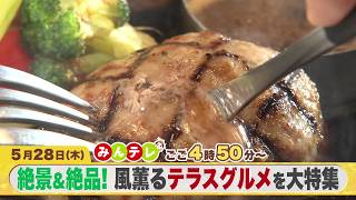 みんテレ