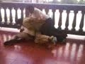 el atake a rodrigo