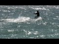 Kite Surfer.mpg