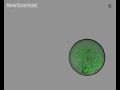 Tiny grenades deliver drugs by detonation