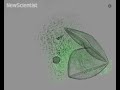 Tiny grenades deliver drugs by detonation Tiny grenades deliver drugs by detonation
