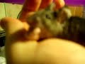 Astara Likes Her Treat