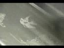 15\" Powerbook engraving