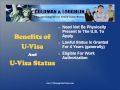 U Visa: How to Apply for a U-Visa