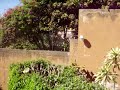 Mi Escuela en Cuernavaca