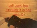 Esten sleeping Esten sleeping