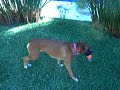 luna-y-mauro