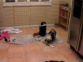 SANY0027.MP4 SANY0027.MP4