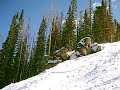 my brothers and a friend of mine jumping off a small cliff when we were visiting steamboat. i wasnt in this video cuz i was sick.