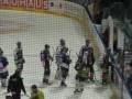 Adler Mannheim vs. Augsburger Panther (11.01.2008)