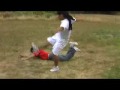 pcproductions splits up ! : a story of teamwork and ninjas?