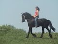 \"Sailing\" Friesian Style by Cally Matherly \"Sailing\" Friesian Style by Cally Matherly