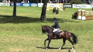 CSI*** Munchen-Riem Grand Prix 155