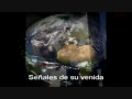 SEÑALES DEL FIN, FALSOS PROFETAS, APOSTASIA