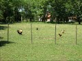 ALRREDEDORES CABAÑAS EL SUEÑO
