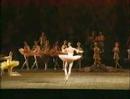 Diana Vishneva@Dulcinea