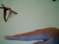Video Cam Direct Upload