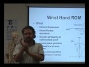 ONE1 F08 WK 8&9 Biomx upper extremity P10 ONE1 F08 WK 8&9 Biomx upper extremity P10