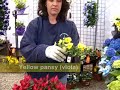 Weed out your gardening doubts Weed out your gardening doubts