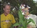 Brian, the orchid guy? video reel 3/13/07 Brian, the orchid guy? video reel 3/13/07
