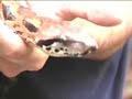 See video