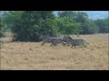 Safari in Uganda - Part 1 Safari in Uganda - Part 1