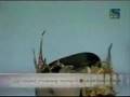 Pantaloons Femina Miss India 2008 Crowning - Part (Y)