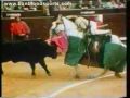 Bullfighting Cruelty - Please Boycott Bullrings