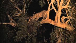 Dunhams Africa Highlight Video
