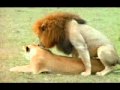 &Oslash;&sup3;&Ugrave;�&Oslash;&sup3; &Oslash;&shy;&Ugrave;�&Ugrave;�&Oslash;&sect;&Ugrave;�&Oslash;&sect;&Oslash;&ordf; &Ugrave;� 2009 video