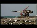 World biggest garbage dump - plastic in the Ocean