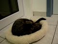 May-Lin en Nini, een apart duo...