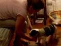 videos de DSCN0878.MOV