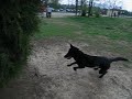 Nutmeg Runs at the Park