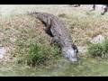 malwi05movie.wmv