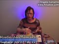 Horoscopo Sagitario del 30 diciembre 2007 al 5 enero 2008
