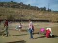 Bocce In Prescott