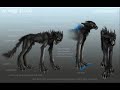 wolves