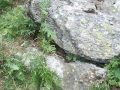 Geology Trip To Lake District