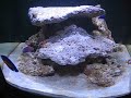 nano cube HQI
