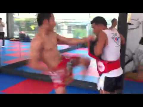 Muay Thai Kick Machine