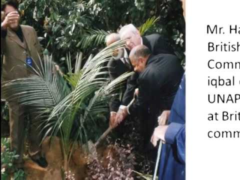 UNAP Tree Planting Project with City District Government Karachi (CDGK), PAKISTAN