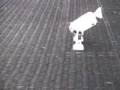 My-First-Stop-Motion