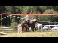 Mounted Archery Demo